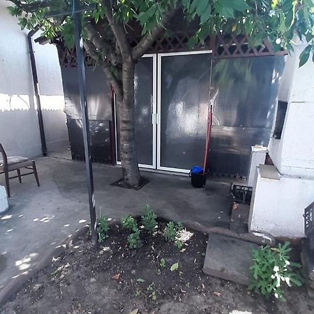 Casa Vio Daire Eforie Nord Dış mekan fotoğraf