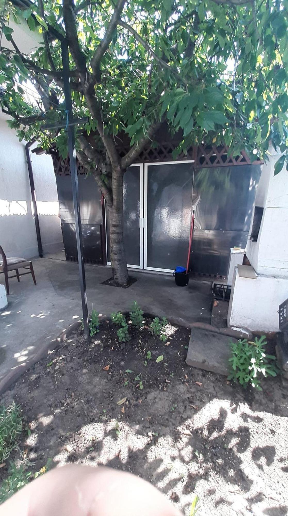 Casa Vio Daire Eforie Nord Dış mekan fotoğraf